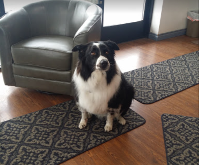 Masters Auto Body Lewiston Masters Body Works